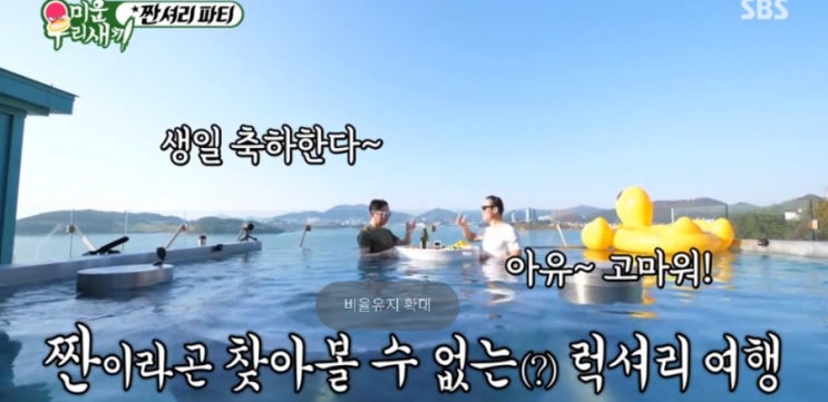  PPL 광고 효과 분석(펜션 사업 중심으로)