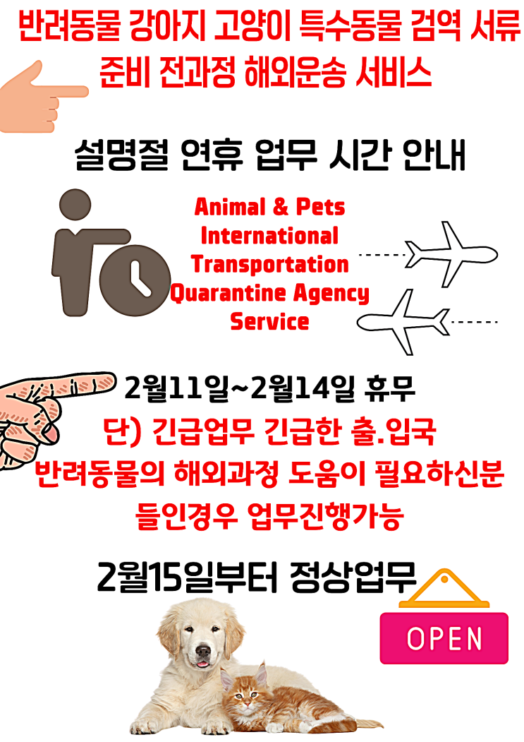 2021년 설날 인사말 설명절 인사말 문구 [강아지입국 반려견입국]