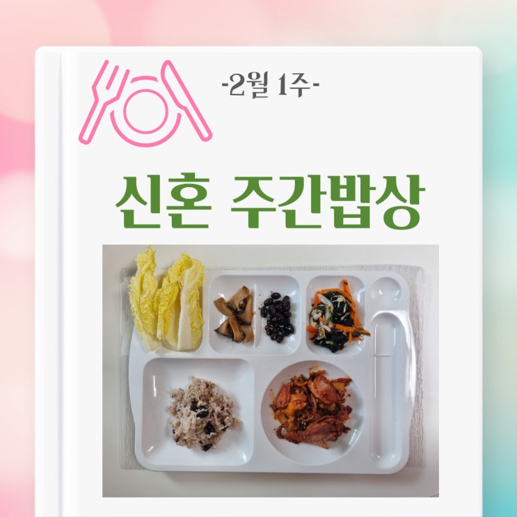  [주간밥상] 신혼 주간밥상-혼밥 많았던 한주(2월 1주)