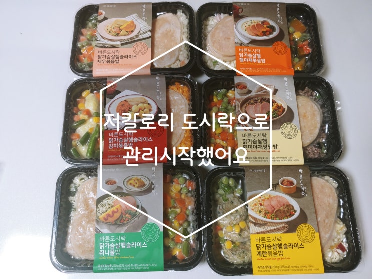  저칼로리 도시락으로 관리 시작했어요