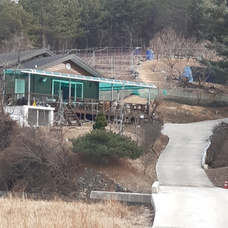  하루 나들이(당일 영천으로 친정 나들이)