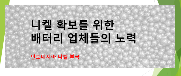  테슬라 니켈 부국 인도네시아에 투자제안서 제출 (feat. 자동차용 배터리)