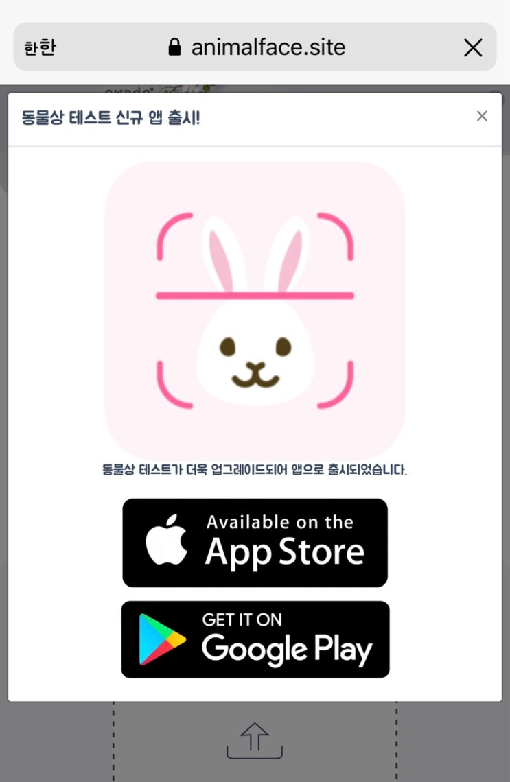  동물상 테스트 내가 닮은 동물은?