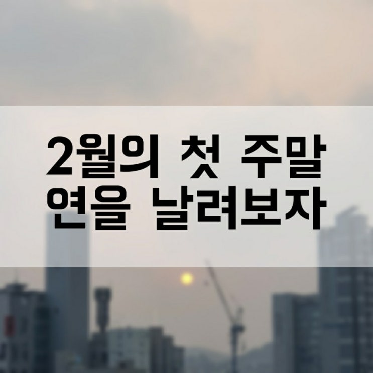  2월의 첫 주말 연 날리기