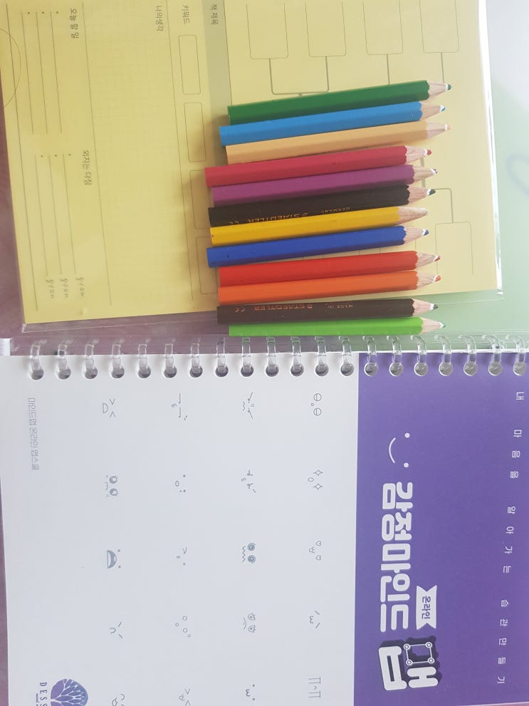 매일 마인드맵으로 생각하고 성장하기!