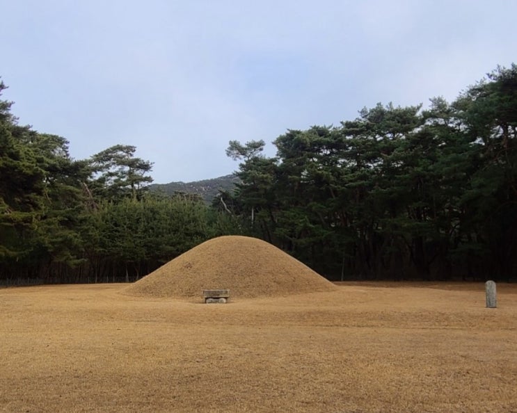  경주 여행, 경주 경애왕릉(사적 제222호), 삼릉숲