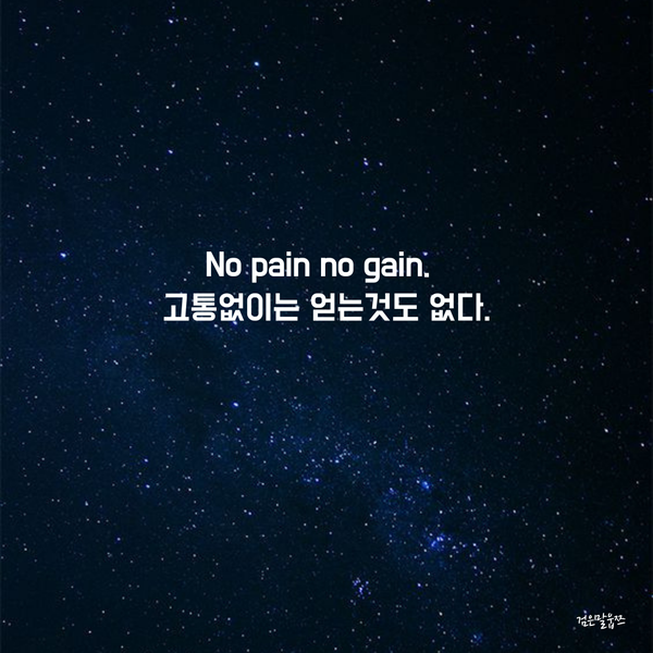  노페인 노게인 뜻 (인생의 좌우명 같은 말)