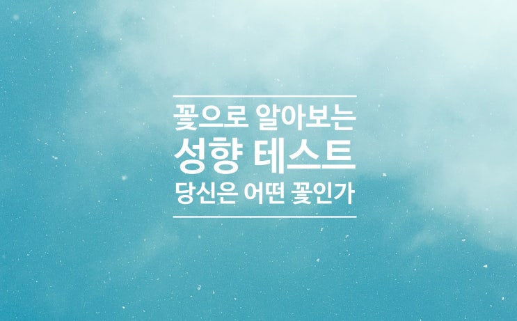  꽃으로 알아보는 나의 성향테스트!