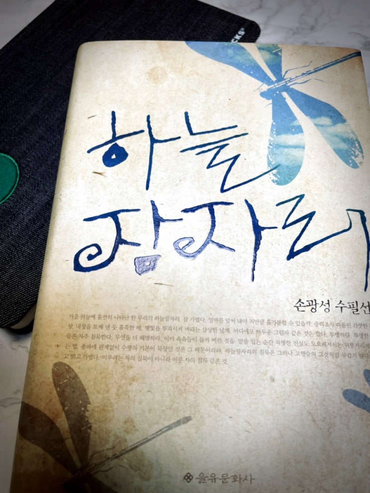  [서평] 하늘 잠자리, 손광성