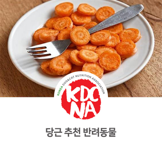  [한국반려동물영양협회/펫푸드자격증/애견수제간식창업/강아지화식] 펫영양사가 알려주는 당근 식재료 추천 동물_718