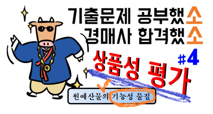  기출문제 풀고 경매사 되기!(상품성평가 #4) "원예산물의 기능성물질"