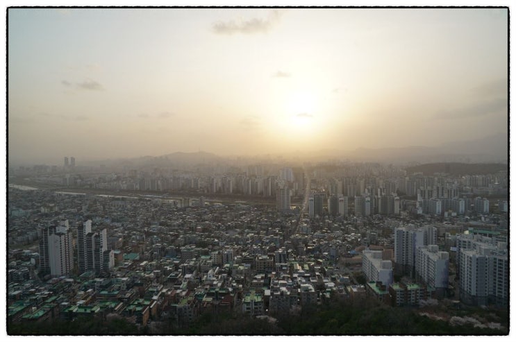  2.4 부동산 대책에 대한 부린이의 이해력(공공주도 3080+, 대도시권 주택공급 획기적 확대방안)