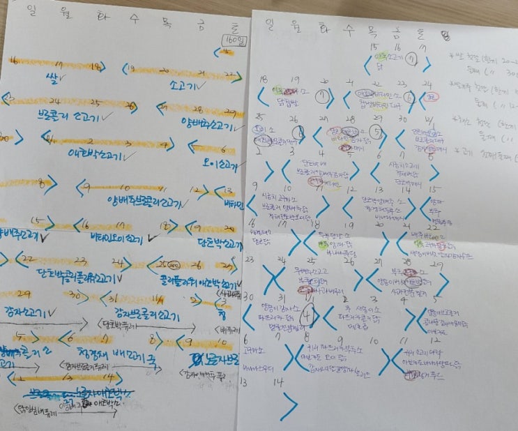  아기 식단에 대한 (육아 이야기)