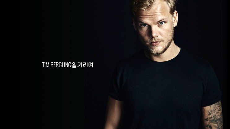 AVICII INVECTOR (아비치 인벡터) 리듬게임 후기! 스팀 게임 추천