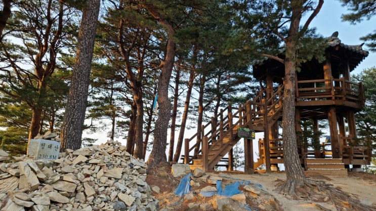  갤럭시 s21 울트라로 본 속초 청대산 풍경