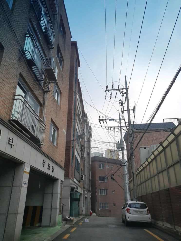  사직동 구경~