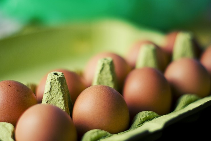 달걀값에 대한 고찰 - 민생고를 해결할 방법은 무엇인가