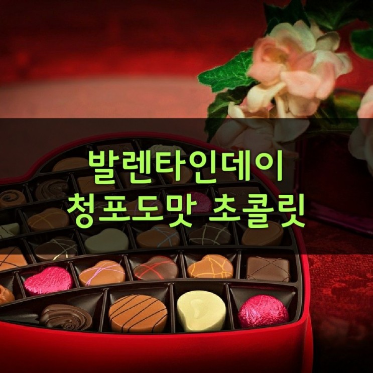 발렌타인데이 (2월14일) 특별한 초콜릿 선물_청포도맛 초콜릿,블루베리맛 초콜릿