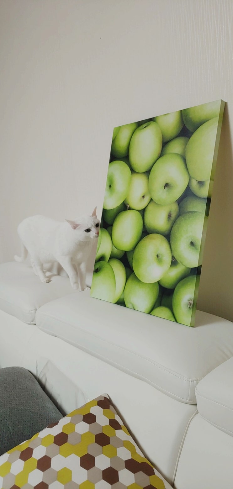  풋사과 그림,청사과 액자 재물운 집 꾸미기 풍수 인테리어
