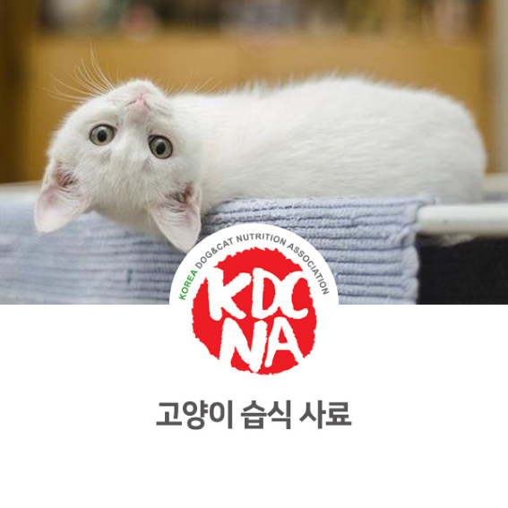  [펫영양사/나의반려/익산애견수제간식/군산/전주/강아지/고양이/대전/진주/김해/창원/펫푸드자격증]한국반려동물영양협회 익산지부가 알려주는 고양이 습식 사료 장단점_730