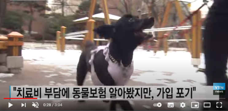 천차만별 진료비에...'펫 보험' 찾지만 가입률은 1.6% / YTN 천차만별 진료비에...'펫 보험' 찾지만 가입률은 1.6% / YTN