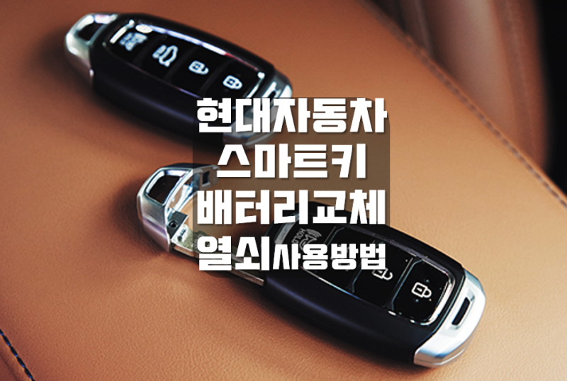 자동차 리모콘 배터리 교체 그랜저IG 비상시 스마트키 열쇠 사용방법