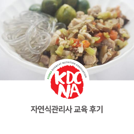  [반려동물영양전문강사/자연식관리사/강아지케이크전문가/애견수제간식창업] 강아지 고양이 자연식 자격증 교육 박은정펫푸드아카데미 후기_725