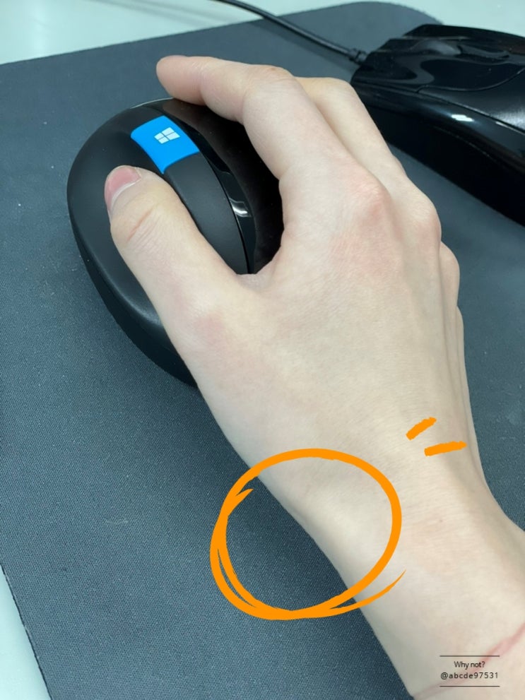  마이크로소프트 스컬프트 에고노믹 버티컬마우스 사용기 (MS Sculpt Ergonomic  Mouse)