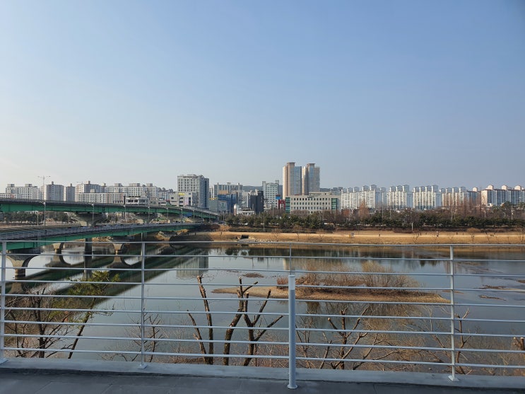  [카페 리뷰] 진주 카페 아오라(AHORA)
