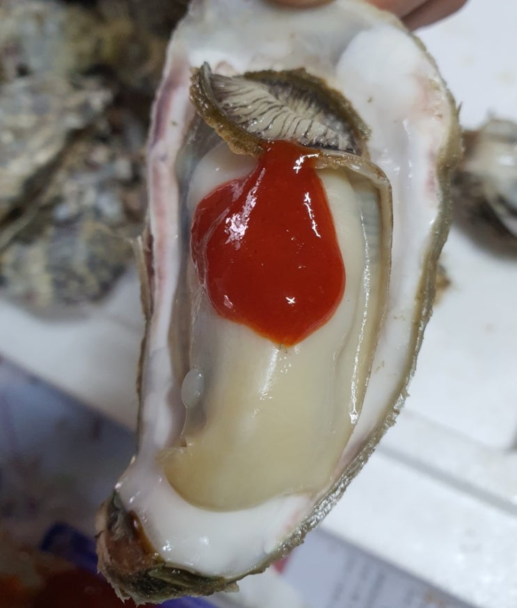  겨울제철음식 굴찜 효능