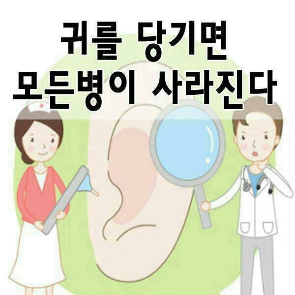  귀를 당기면 모든병이 사라진다