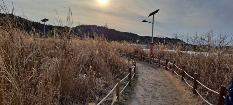  군산 청암산 구불길 걷기