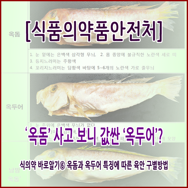  [식품의약품안전처] '옥돔' 사고 보니 값싼 '옥두어'?