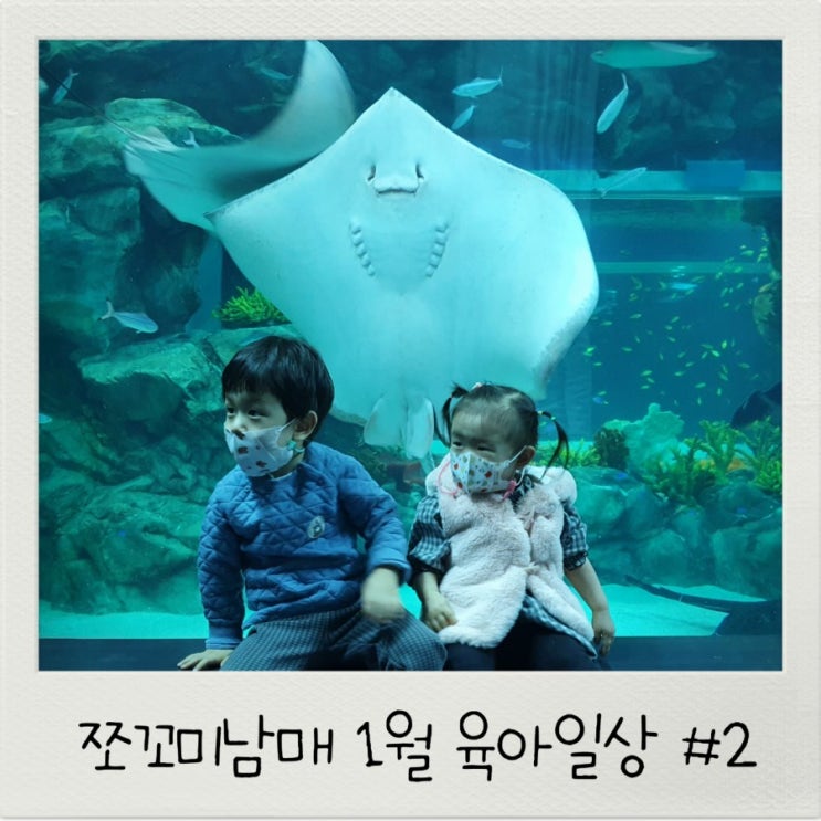  쪼꼬미남매 1월 육아일기 37개월 18개월 아기 육아일상