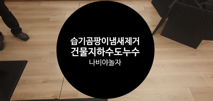 헬스장 건물 지하의 수도 동파 누수로 바닥철거 후 습기, 곰팡이냄새 제거 / 나비야놀자