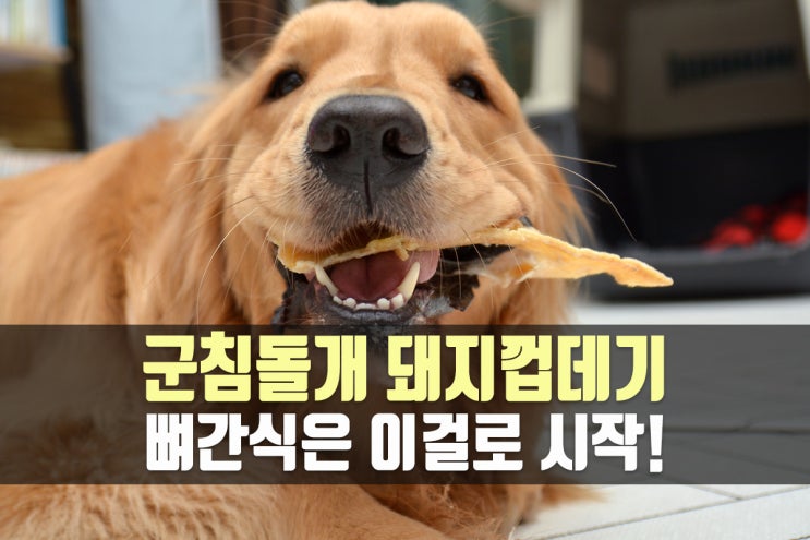  대형견 강아지 오래먹는 간식 - 군침돌개 돼지껍데기