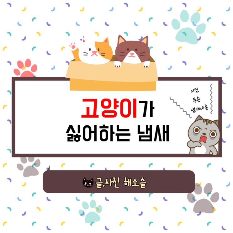  고양이가 싫어하는 냄새, 알아두면 좋아요.
