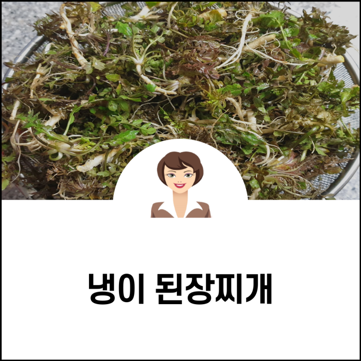  냉이 된장찌개로 미리 느껴보는 봄 향기