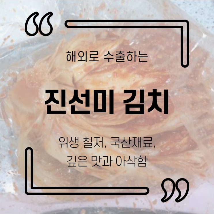 음식 : 진선미 김치 (포기김치 총각김치 묵은지 부산불김치 4종) 솔직 후기와 꽁치김치찌개 만들기