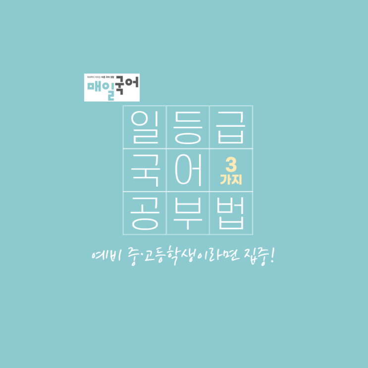  국어 1등급 만들기, 매일국어로 해결(하루 30분 소요)