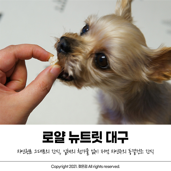 강아지간식 방이가 잘먹는 대구트릿 추천해요 강아지간식 방이가 잘먹는 대구트릿 추천해요