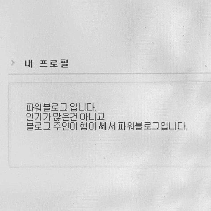  바쁘다바빠 현대사회 힘이 쎈 파워블로거 일상