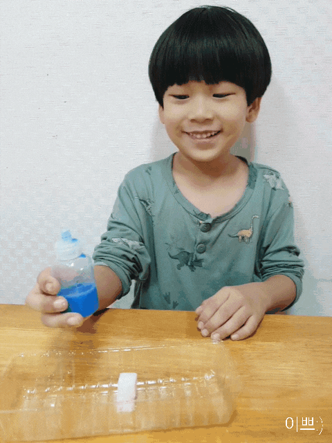 [엄마표 과학] 각설탕 물감물로 관찰
