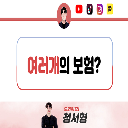  청서형, 왜 보험 따로따로 가입하면 안되나요?