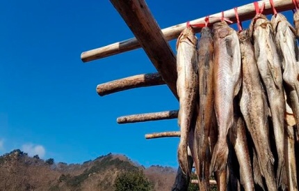  “명태”에 대해서 알아보았더니 이름만 60여개가 되네요