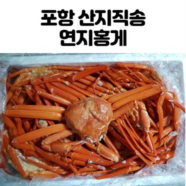  [대박할인] 산지직송 포항 자숙 연지홍게 육수용 10마리 20마리 19,500 원~* 