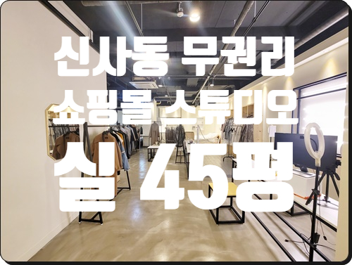  쇼핑몰 강력 추천 무권리 신사동 사무실 임대