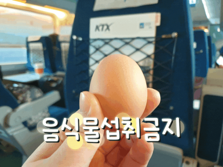 [레츠코레일] ktx 타고  비수도권 으로 출장가는길! 사회적거리두기연장 에 따른 열차이용 주의사항