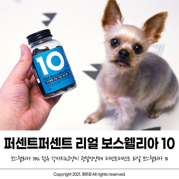 퍼센트퍼센트 강아지관절영양제 방이를 위해 챙기고 있어요 퍼센트퍼센트 강아지관절영양제 방이를 위해 챙기고 있어요