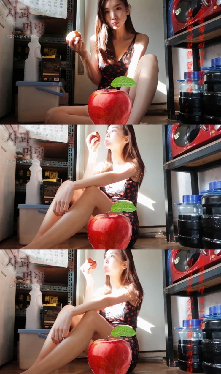 롤코녀' 배우 이해인, 최근 맥심 비키니 화보 : 네이버 블로그
